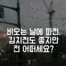 냥이사랑 이미지