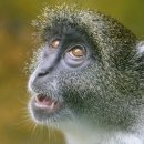 경희대석사 비룡태권도 이미지