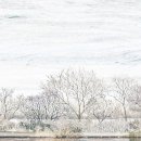 고요의계절 이미지