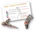 2022년 3월 12, 13일 OPTIMAL FOOT MOTION 세미나 안내 이미지