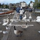 윈더미어런던