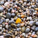 주식회사 큰우물 이미지