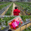 응골농장 이미지