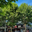 남경장호텔 이미지