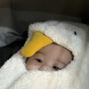 2 | 양산 영화공장 아기랑 가기 좋은 곳 추천 (feat. 주토피아 2 후기)