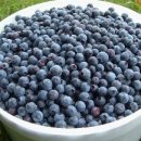 웰빙요가 이미지