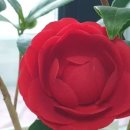 중앙당구클럽 이미지