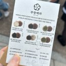 파파호두 | 제너레이션 매치 중앙4층 지정석 411구역 f열 4 g열5 11월의 마지막야구 관람 파파존스 부창제과 호두과자