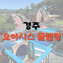 경주오아시스글램핑