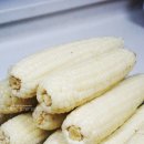 김진호농장 이미지