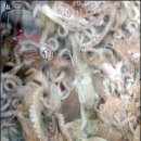 에후~!!! 외로운 사람 다 모여요..^^* 이미지