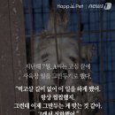 펫베어