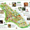 허브농원 이미지