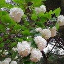 반룡사 - 531 | 반룡사