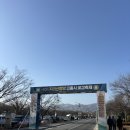 지리산나들이장터 | 함양 곶감축제 후기｜이찬원 등장에 핑크빛으로 물든 지리산 고종시 축제