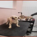 이쁘개몽 이미지