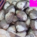 벌교택배 이미지