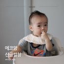 에코맘의 산골이유식 - 안산시 단원구 | 에코맘의산골이유식 산골쌀참 내돈내산, 8개월 아기 첫 쌀과자 후기