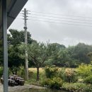 경환농장 이미지