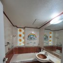 안중늘푸른 이미지