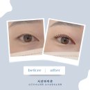 군산 수송동속눈썹펌 시선바이은 케라틴펌 C컬 후기