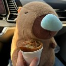 대전에서 할만한것들 총 집합 / 그날의 미술관, 반찬식당, 월광