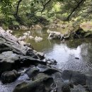 양지-3113 이미지