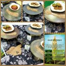 이상순약선요리 이미지