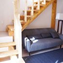 델피노숲 이미지