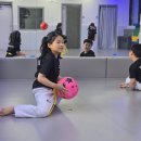 용인대 정무태권도장 이미지