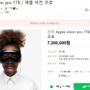 인-비전
