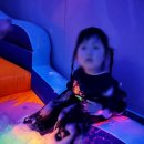 우리또래어린이집 이미지