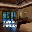 럭셔리 | 베트남 나트랑 숙소 추천 빈펄럭셔리 후기 | 가는 법 스피드보트, 수영장 장단점
