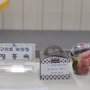 거제2동 행정복지센터 이미지