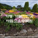 고요 이웃 | 가평 아이와 가볼만한곳 아침고요수목원 산책 코스와 근처 순두부 맛집 완벽 동선