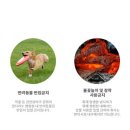 구곡폭포 캠핑장 이미지