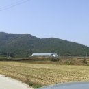 서호목장 이미지