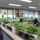 그린농업센터 이미지