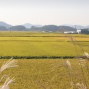 영남자원 | 지역별 전통 직업 비교 (남도, 영남, 강원)