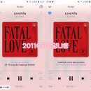 멍멍냐옹 이미지