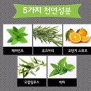 케이제이통상 이미지