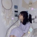 (주) 일로파라다이스 이미지