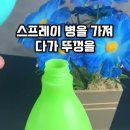 치약을 코카콜라 병에 dhl 근육이 빠지고 있다면 이미지