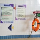 중급 어린이 수영교실 이미지