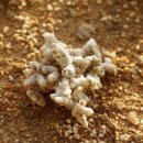 광영농장 이미지