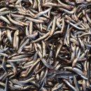 매일행복약국 이미지