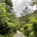 황정길 | [영월] 길캠프 캠핑 E 사이트 (우중 캠핑 성공!)