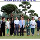 팽고 팽고 이미지