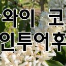 원더풀하와이 이미지