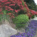 광명 시민운동장 이미지